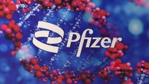 Farmaceutica: il sito produttivo di Pfizer ad Ascoli festeggia i suoi primi 50 anni