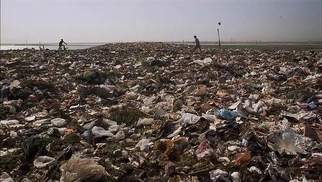 Birdy EXTRAIT VO Fais comme l'oiseau