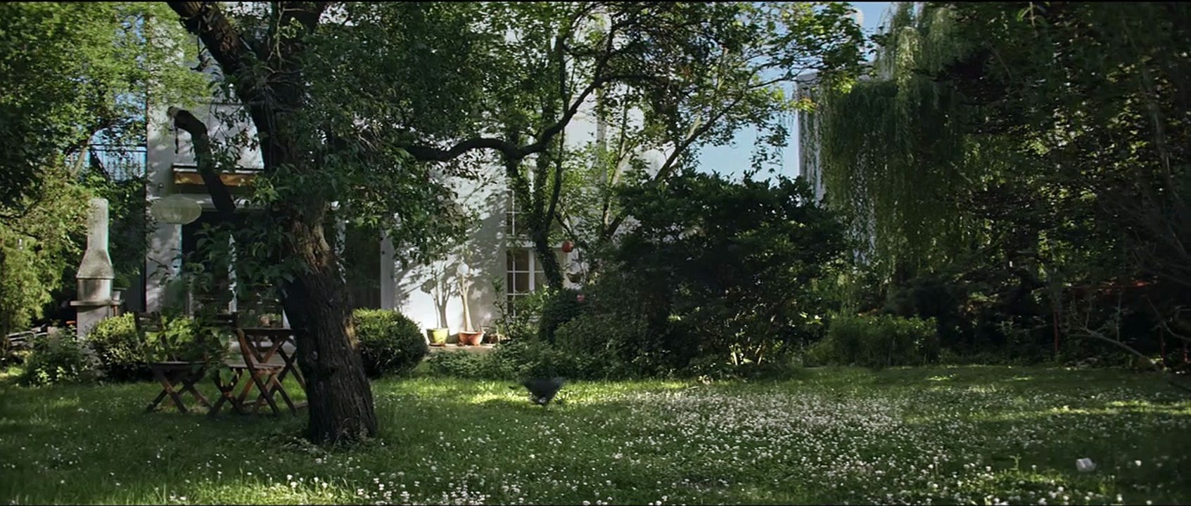 Désolé les chats. Bande-annonce VF