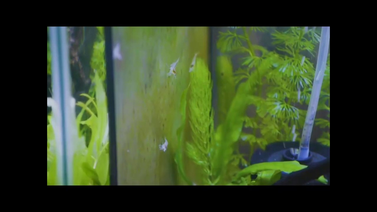 112022 AHA.mov