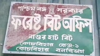 কোচবিহারঃ&#039;পুষ্পা ২&#039;-এর শুটিং কোচবিহারে? দেখুন ভিডিয়ো
