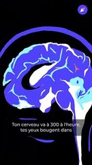 Tout ce que vous devez savoir sur le sommeil 💤 : Guide complet