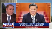 Chinese protests 'precarious' for Xi Jinping- Dmitri Alperovitch