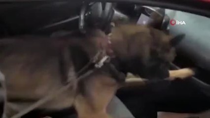 Sakarya'da 1 haftada uyuşturucu operasyonlarında 72 gözaltı