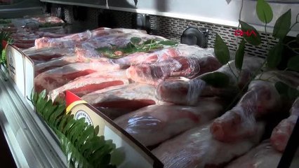 BOĞANIN BAŞINA BALYOZLA VURULMA OLAYIYLA İLGİLİ KIZILTEPE KAYMAKAMLIĞI'NDAN AÇIKLAMA