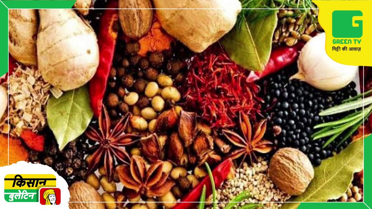 Kisan Bulletin मसाला फसलों की खेती करने पर 70 प्रतिशत सब्सिडी देगी सरकार | डीएपी खाद | प्राकृतिक खेती को बढ़ावा | Green TV