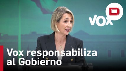 Vox responsabiliza al Gobierno del incidente con una bandera en un colegio balear