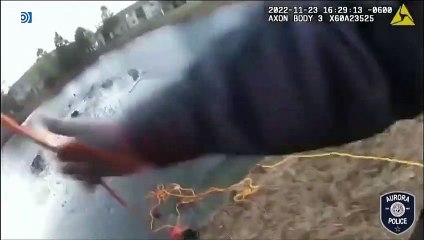 Rescate casi imposible a una madre y a su hijo de un lago congelado en Illinois