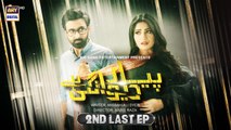 Pyar Deewangi Hai 2nd Last Episode | 28th Nov 2022 - ARY Digital