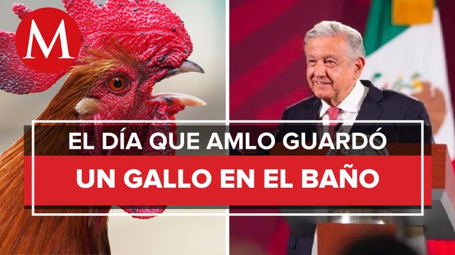 Besos, abrazos y hasta ¡Un gallo! fueron regalos para AMLO durante la manifestación
