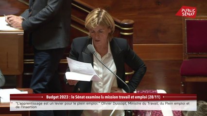 Budget 2023 : Le Sénat examine la mission travail et emploi (28/11)