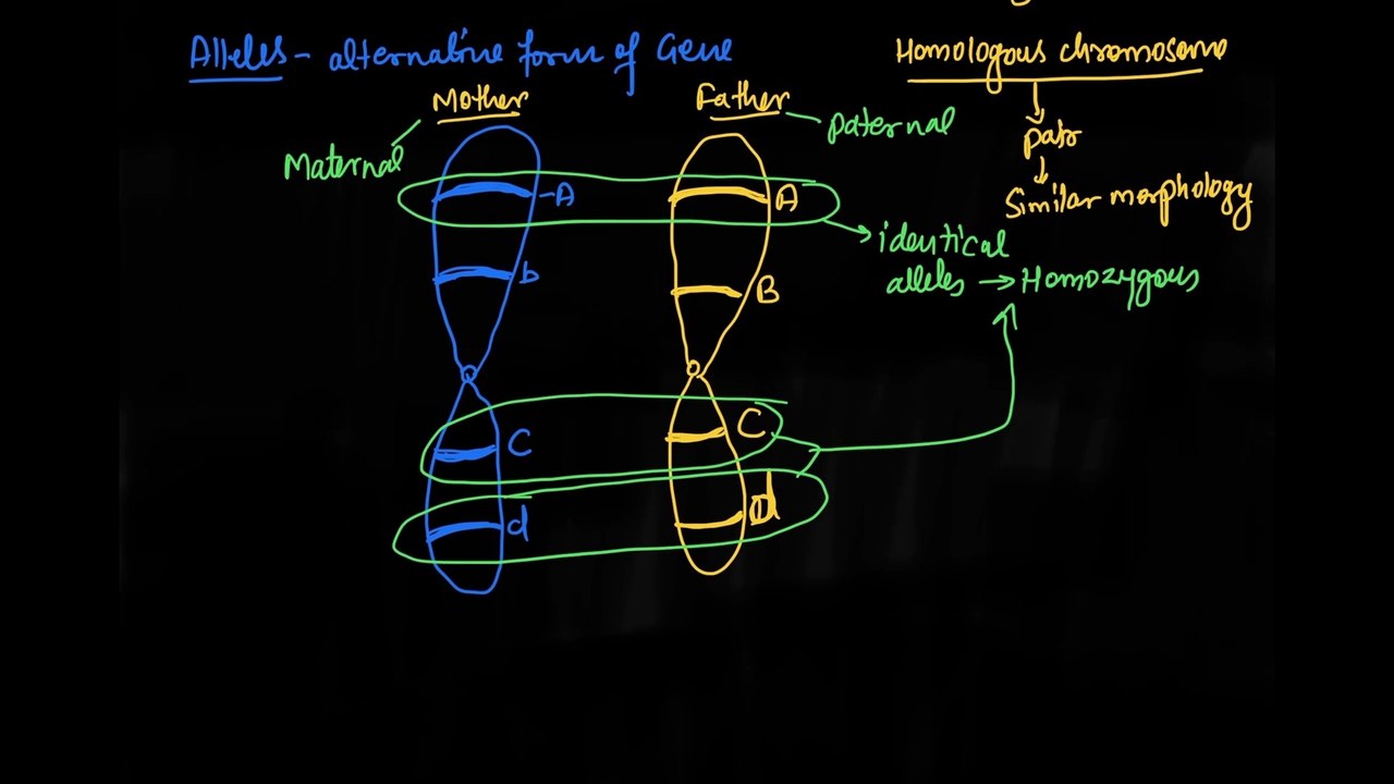 Heredity and Evolution|High School Biology