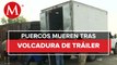 Vuelca tráiler que transportaba puercos en Carretera Texcoco-Lechería