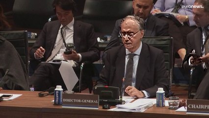 Ucraina: i timori di armi di distruzioni di massa