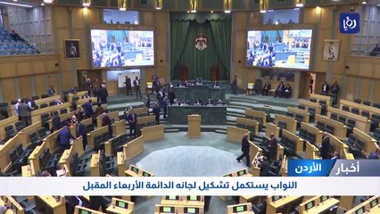 النواب يستكمل تشكيل لجانه الدائمة الأربعاء المقبل