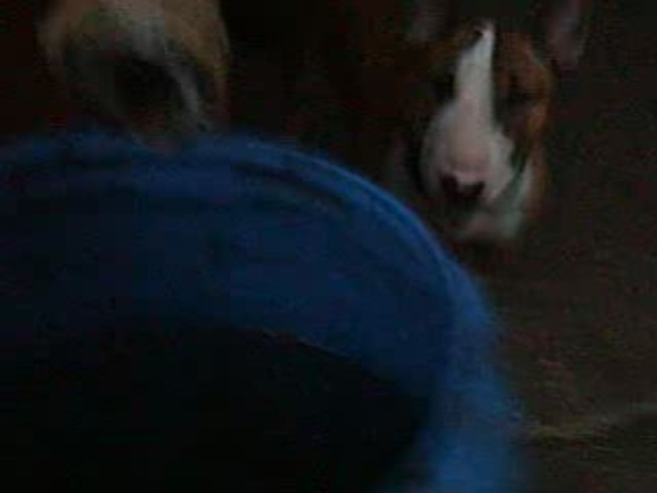 BUFFY ET L'EAU DE PLUIE 3