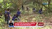 Mahigit 200 volunteers, nakiisa sa tree planting project | UB