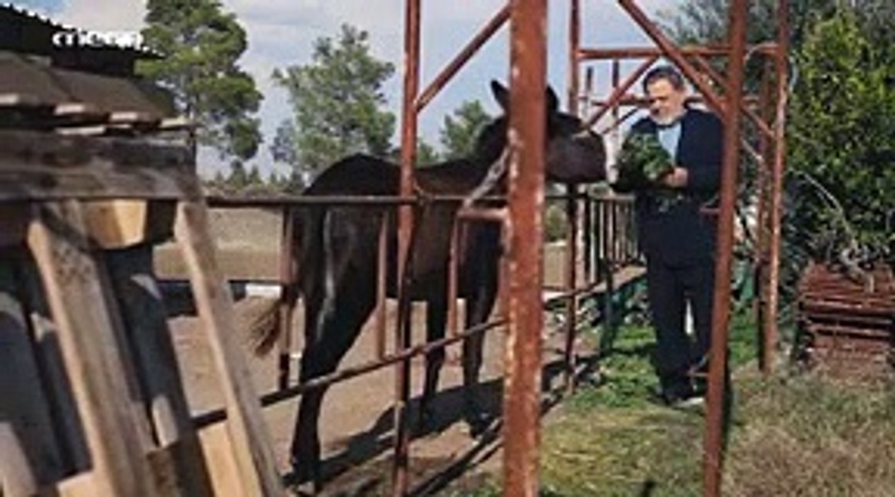 Η Γη της Ελιάς Επεισόδιο 55 part 1/1 part 1/1