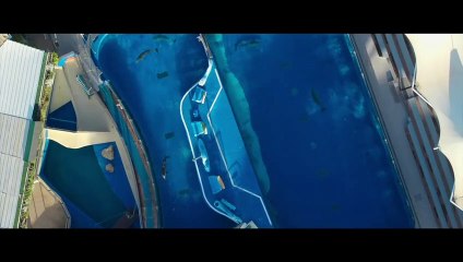Qu'est-il arrivé au roi des dauphins ? Bande-annonce (IT)