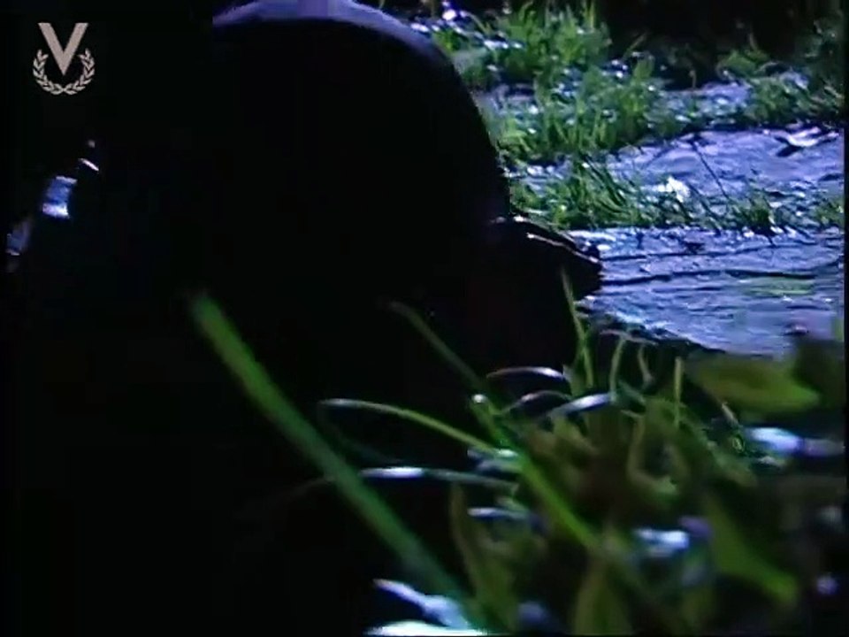 La Viuda Joven - Capítulo 62