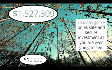 Profit Generationally From Teak, a Globally In-Demand Asset and Secure a 2nd Residency