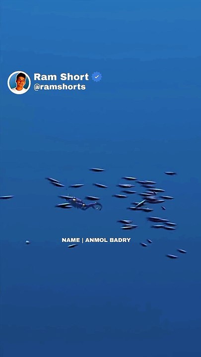 Risk Full | Ram Shorts   #ramshorts #shorts