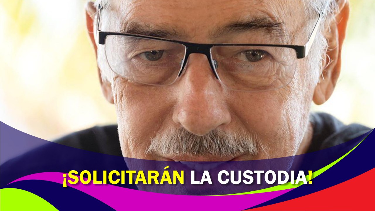 ¡Solicitarán la custodia de Andrés García!