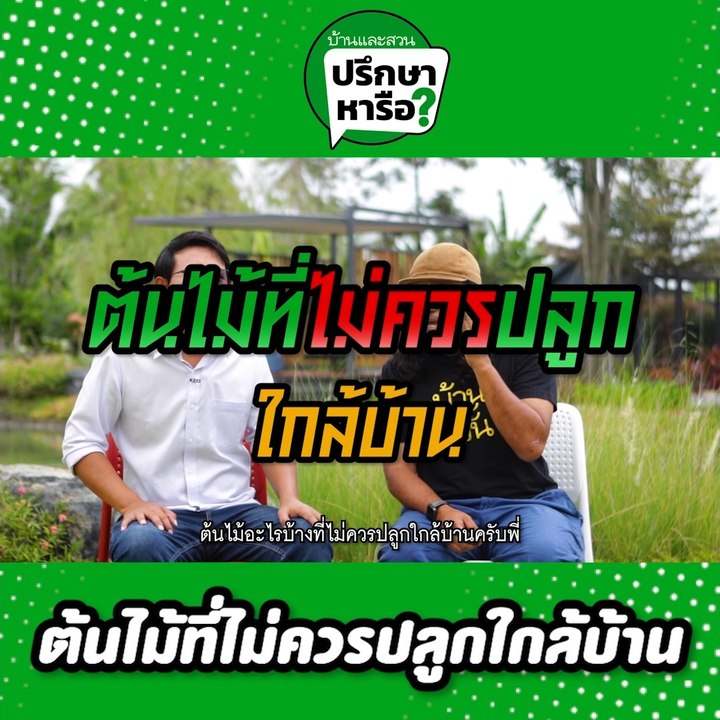 บ้านและสวนปรึกษาหารือ ต้นไม้ไม่ควรปลูกใกล้บ้าน ต้นไม้มีพิษ ต้นไม้ดอกเหม็น