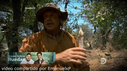 desafio x2 - sudafrica