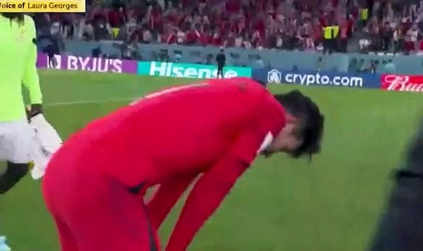 Ghana coach is spotted taking a SELFIE with a tearful Son Heung-min after the African side beat South Korea 3-2 in a fiery thriller in Group H at the World Cup