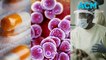 Antimicrobial resistance: What scientists are doing to combat suberbugs