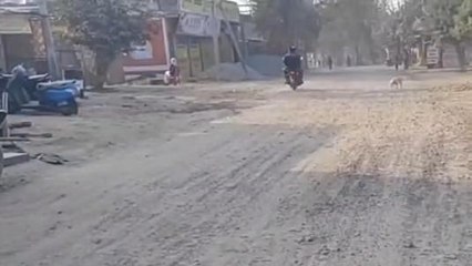 भिंड: नगर वासियों ने की सड़क पर पानी छिड़काव करवाने की मांग, देखें खबर