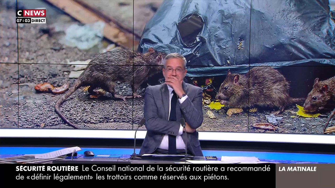 Scène folle sur CNews quand une dame qui sort tout juste du métro découvre en pleine interview qu'elle a un rat qui s'est glissé dans sa manche !