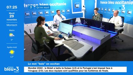 Qu'es aquò: le bois