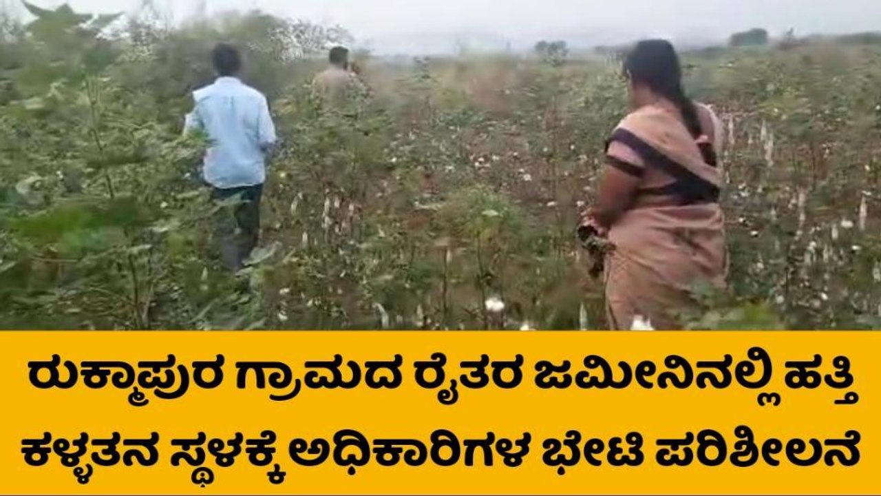 ಸುರುಪುರ: ಜಮೀನಿನಲ್ಲಿನ ಹತ್ತಿ ಕಳ್ಳತನ, ಸ್ಥಳಕ್ಕೆ ಪೊಲೀಸರ ಭೇಟಿ