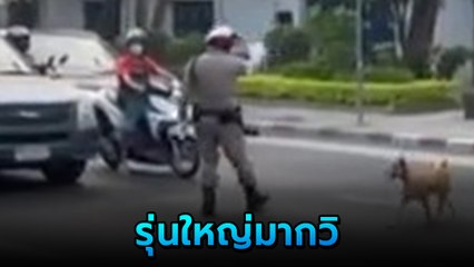 ตัวตึงประจำถนน ตำรวจถึงกับให้รถจอด คิดว่่าเกิดเหตุอะไร ที่แท้... ไม่ใหญ่จริงทำไม่ได้