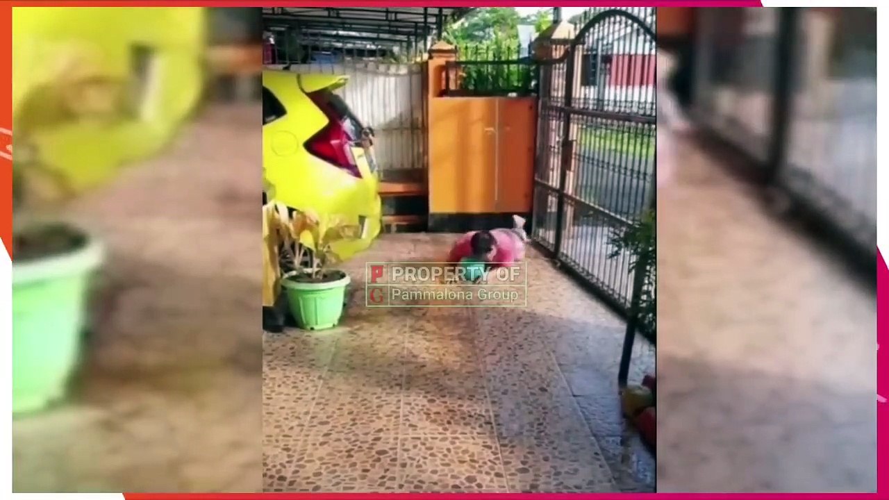 Video Lucu Bikin Ngakak __ Kumpulan Kelakuan warga +62 Bikin Sakit Perut __ Hiburan Untuk Warga Bumi