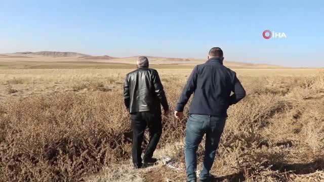 Mandıra atıklarından rahatsız olan çiftçi isyan etti