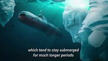 How do nuclear submarines stay under water for months