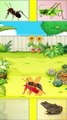 PUZZLES !! MATCHING ANT IMAGES |PUZZLE !! MENCOCOKKAN GAMBAR SEMUT  #puzzleeduid