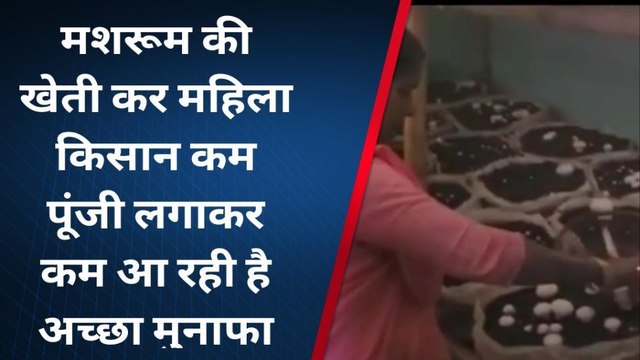 जहानाबाद: मशरूम की खेती कर महिला किसान बन रही हैं आत्मनिर्भर, देखिए रिपोर्ट