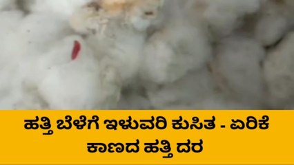 ರಾಯಚೂರ: ಹತ್ತಿ ದರ ಇಳಿಕೆ; ರೈತರಿಗೆ ಸಂಕಷ್ಟ