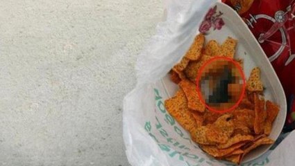 Sattıkları cipsten çıkan ölü fare infial yarattı! BİM'den konuyla ilgili iddialı açıklama