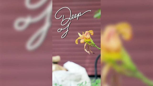 Matt Walsh - Deep Tweets by Matt Walsh - Season 1