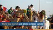 World Cup tourists put strain on Qatar camels | The Nation