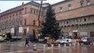 Bologna, è arrivato l'albero di Natale in piazza Nettuno