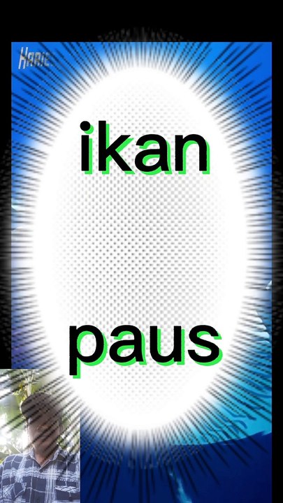 Paus beraksi