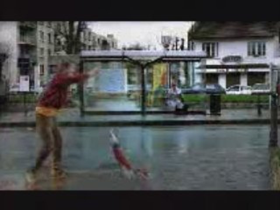 maitre chien football