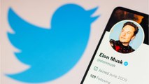 Elon Musks Twitter-Übernahme