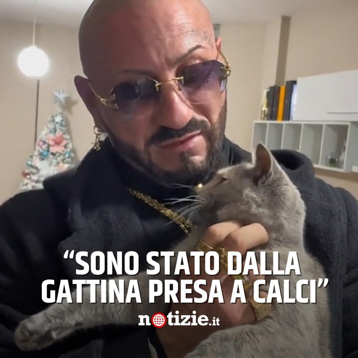 Lo sfogo di Alfredo Agozzino sul gatto preso a calci per divertimento